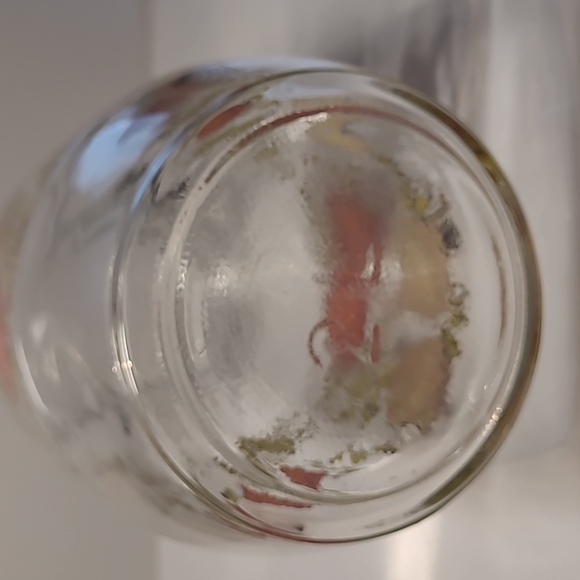 (#1)Vintage ARC France Hinged spice of life Storage Jar Canister 2L - Picture 5 of 6